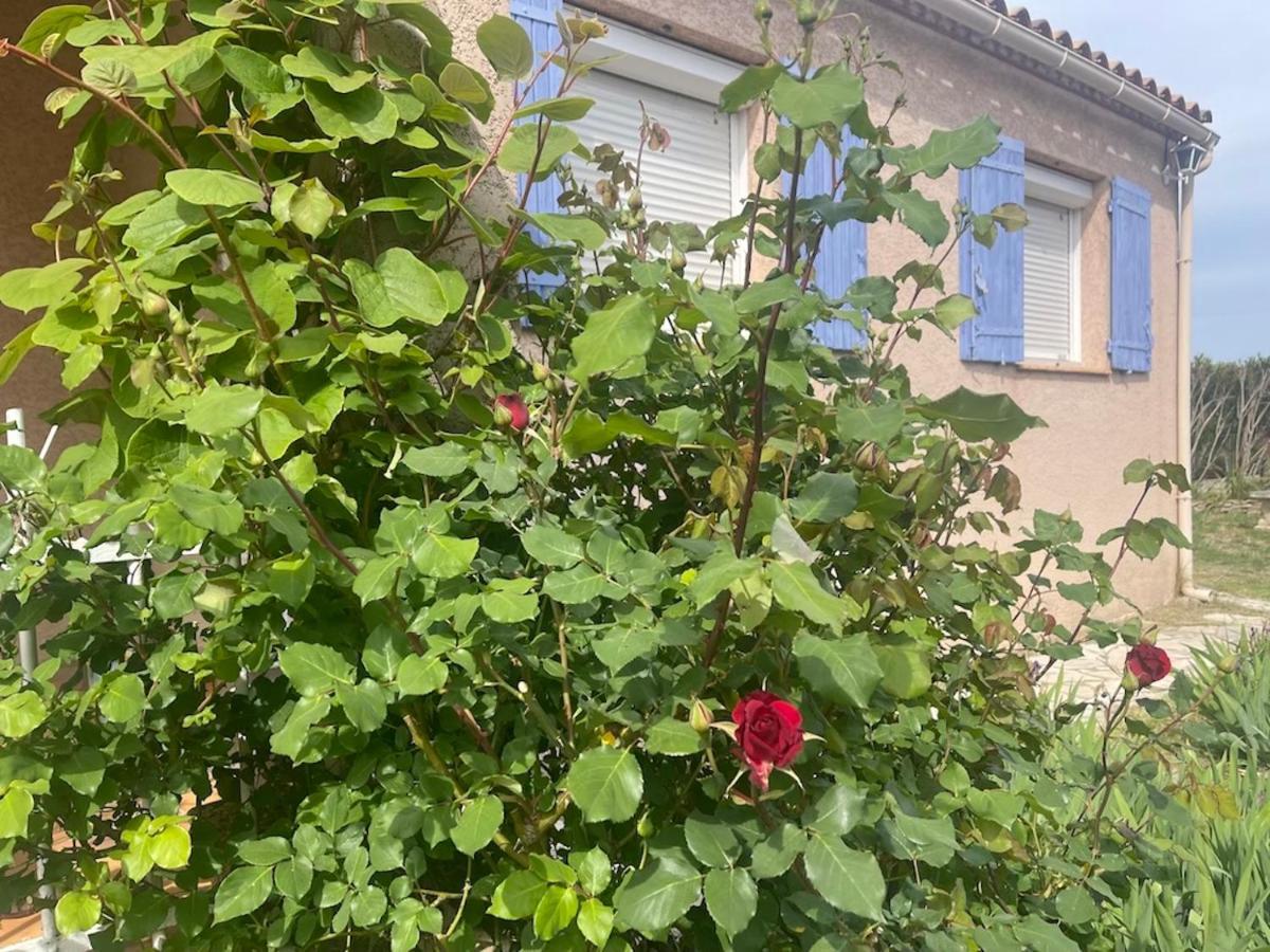 Confortable Villa De Vacances Entre Nimes, Le Pont Du Gard, Uzes, Arles, Avignon มาร์เกอริตต์ ภายนอก รูปภาพ